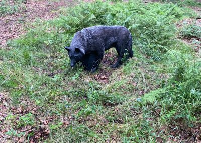 PHOTO-2025-10-10-15-13-48