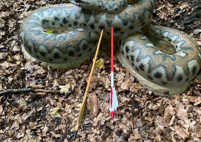 PHOTO-2025-10-10-15-14-04